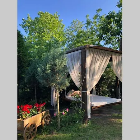 Holiday home Gul Ev *